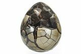 Septarian Dragon Egg Geode - Black Crystals #224232-1